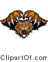 Vector of a Dominant Tiger Mascot Attacking with Fangs and Claws out by Chromaco