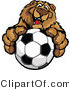 Vector of a Friendly Cartoon Bear Mascot Gripping Soccer Ball with Paws by Chromaco