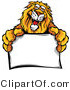 Vector of a Friendly Cartoon Lion Mascot Holding a Blank Sign by Chromaco