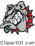 Vector of a Growling Cartoon Bulldog Mascot Wearing Spike Collar by Chromaco