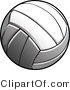 Vector of a New Volleyball by Chromaco