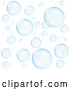 Vector of Background of Transparent Blue Floating Bubbles by Oligo