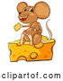 Vector of Brown Cartoon Mouse Eating and Sitting on a Cheese Wedge by