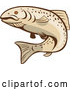 Vector of Cartoon Rainbow Trout Fish by Patrimonio