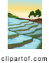 Vector of Cartoon Rice Paddy Terraces by