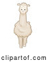 Vector of Cartoon White Llama by BNP Design Studio