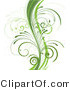 Vector of Curvy Organic Green Vines with Young Curly Stems - Background Border Design Element by KJ Pargeter