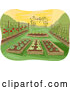 Vector of Garden of Raised Beds with Vegetables by BNP Design Studio