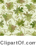 Vector of Green Floral Vines with Tendrils - Seamless Web Design Background by Elena