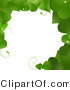 Vector of Green Vines Border Frame with Blank Copyspace Textarea by Elaineitalia