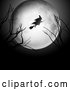 Vector of Silhouetted Witch Flying on a Broomstick over a Full Moon, with Bare Branches by KJ Pargeter