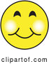 Vector of Yellow Smiley Face Graphic with a Closed Lip Smile by Andy Nortnik