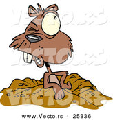 Cartoon of a Groundhog Emerging by Toonaday