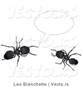 Vector of 2 Black Ants Talking Under a Text Bubble by Leo Blanchette