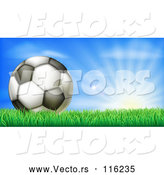 Vector of 3d Soccer Ball in Grass at Sunrise by AtStockIllustration