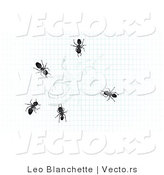 Vector of 5 Ants Crawling over Drawing of an Ant on Graph Paper by Leo Blanchette