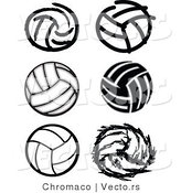 Vector of 6 Unique Volleyballs - Black and White by Chromaco