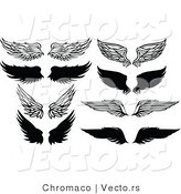 Vector of 8 Unique Feathered Wings - Black and White Designs by Chromaco