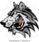 Vector of a Adult Gray Wolf Snarling and Growling by Chromaco