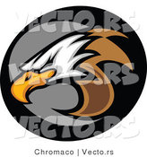 Vector of a Bald Eagle Icon by Chromaco