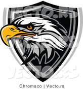 Vector of a Bald Eagle over Badge by Chromaco