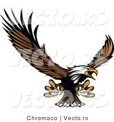 Vector of a Bald Eagle Reaching out with Claws While Flying by Chromaco