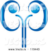 Vector of a Blue Kidney Design by Lal Perera