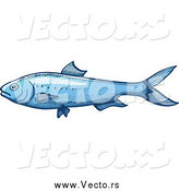 Vector of a Blue Sardine Fish by Zooco