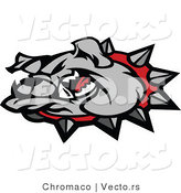 Vector of a Cartoon Bulldog Wearing Spike Collar While Growling by Chromaco