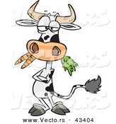 Vector of a Cartoon Cow Eating Carrots While Standing with His Arms Crossed by Toonaday
