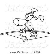 Vector of a Cartoon Dog Walking on a Tight Rope - Coloring Page Outline by Toonaday