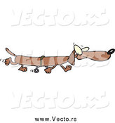 Vector of a Cartoon Long Brown Wiener Dog Using Training Wheels by Toonaday