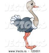 Vector of a Cartoon Ostrich by Visekart
