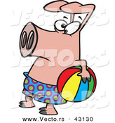 Vector of a Cartoon Pig Wearing Swim Shorts While Holding a Colorful Beach Ball by Toonaday