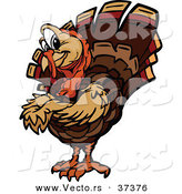 Vector of a Cartoon Turkey Mascot with Folded Arms by Chromaco