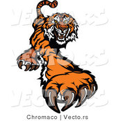 Vector of a Fighting Cartoon Tiger Mascot Striking Outwards with Claws by Chromaco
