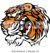 Vector of a Growling Tiger Preparing to Attack by Chromaco