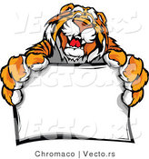 Vector of a Happy Tiger Mascot Holding a Blank Sign by Chromaco