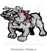 Vector of a Mean Gray Bulldog Mascot by Chromaco
