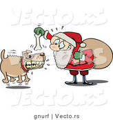 Vector of a Nervous Cartoon Santa Trying to Bait a Vicious Dog with a Bone by Gnurf