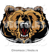 Vector of a Roaring Cartoon Bear Displaying Dominance by Chromaco
