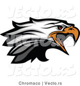 Vector of a Screeching American Bald Eagle by Chromaco