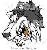 Vector of a Snarling Husky Mascot Growling by Chromaco