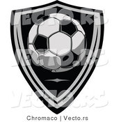 Vector of a Soccer Ball over a Shield by Chromaco