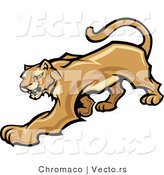 Vector of a Stalking Cougar Preparing to Attack by Chromaco