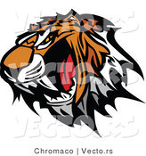 Vector of a Strong Growling Tiger Baring Sharp Teeth by Chromaco