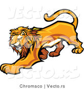 Vector of an Adult Male Lion Prowling by Chromaco