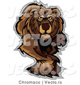 Vector of an Alpha Cartoon Bear Walking Dominantly Forward While Staring with Intimidating Eyes by Chromaco