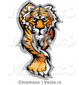 Vector of an Alpha Cartoon Tiger Walking Dominantly Forward While Staring with Intimidating Eyes by Chromaco