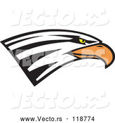 Vector of Bald Eagle Head by Johnny Sajem
